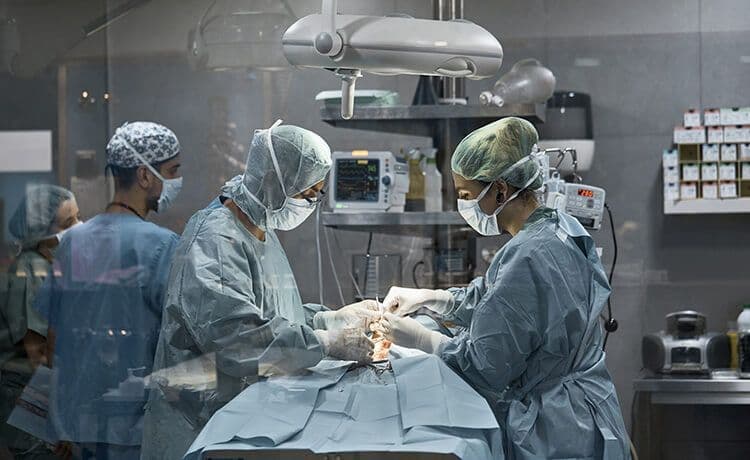 Bild aus dem Text zu Duales Studium Physician Assistant
