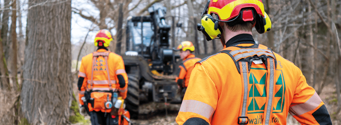 Ausbildung zum Forstwirt bei der claus rodenberg waldkontor gmbh
