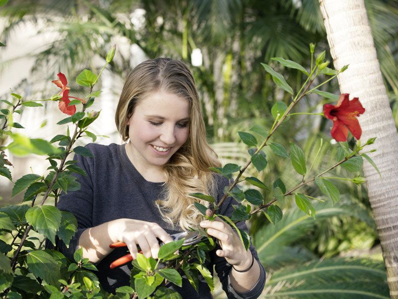 Ausbildung Gartner M W D In Der Fachrichtung Garten Und Landschaftsbau Dresden 2021 Bei Staatliche Schlosser Burgen Und Garten Sachsen Gemeinnutzige Gmbh Sbg In Dresden