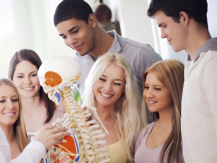 Duales Bachelorstudium Physiotherapie Bei Iba | Internationale ...