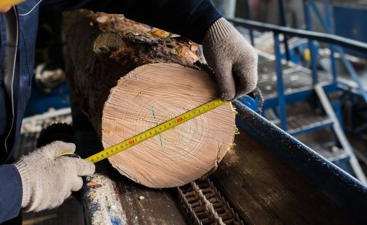 Ausbildung Zum Holzbearbeitungsmechaniker Infos Und Freie Plätze