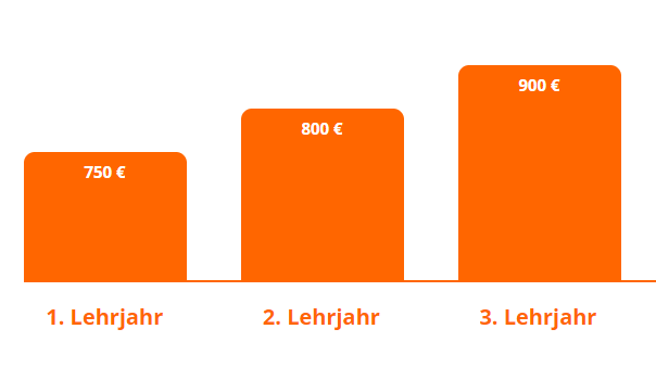 Vergütung duales Studium Wirtschaftspsychologie