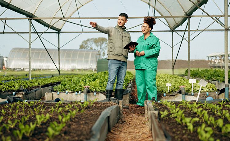 Agrarmanager bei der Arbeit. Agrarmanager bei der Arbeit.