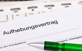 Bild des Testinmonials