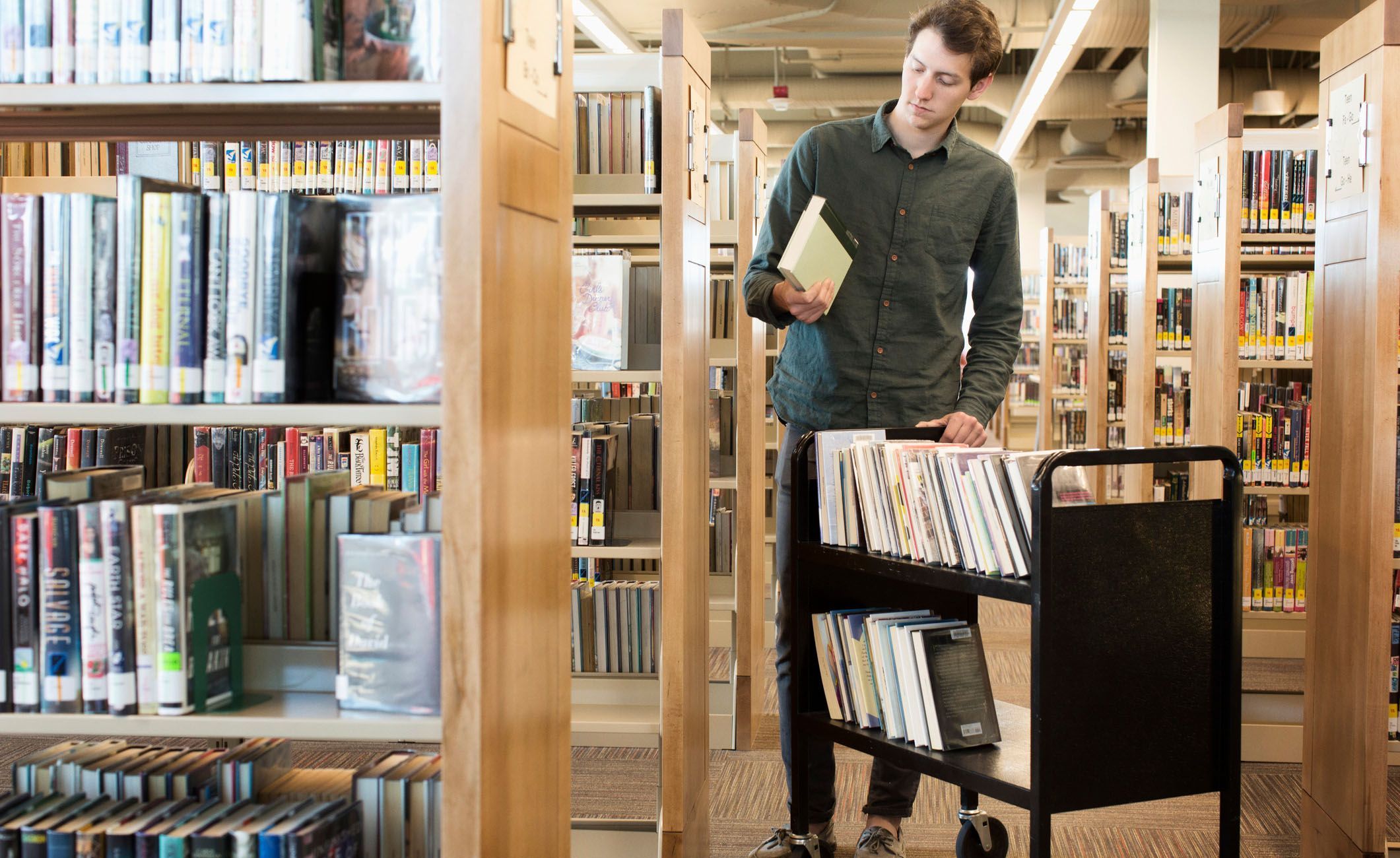 Bibliothekar sortiert Bücher ein.