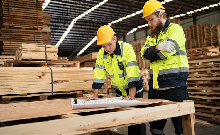 Holztechniker planen ein Projekt.