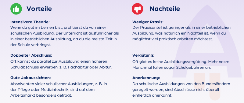 Vorteile und Nachteile einer Schulischen Ausbildung