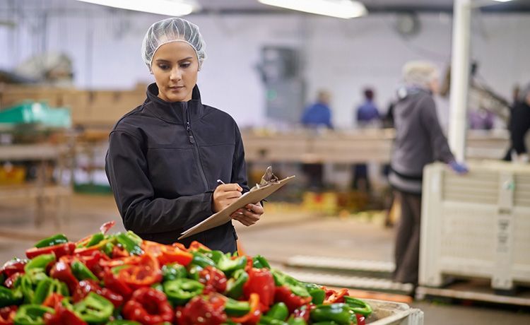 Junge Frau kontrolliert in einer Küche die Paprika. Junge Frau kontrolliert in einer Küche die Paprika.