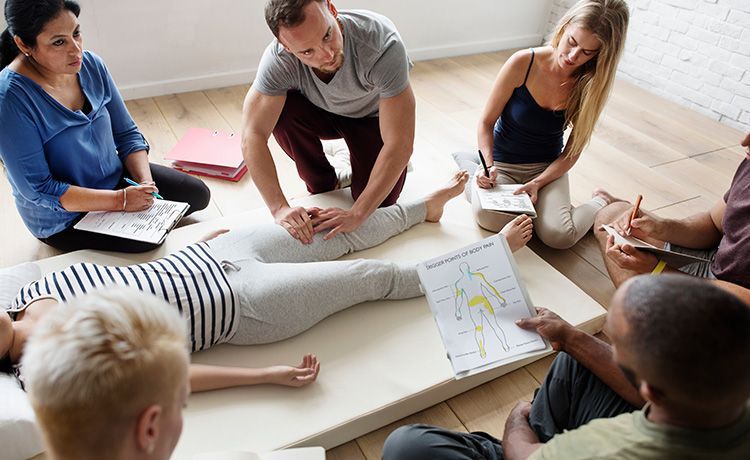 Eine Gruppe von Azubis lernt etwas über Anatomie bei der Massage. Eine Gruppe von Azubis lernt etwas über Anatomie bei der Massage.
