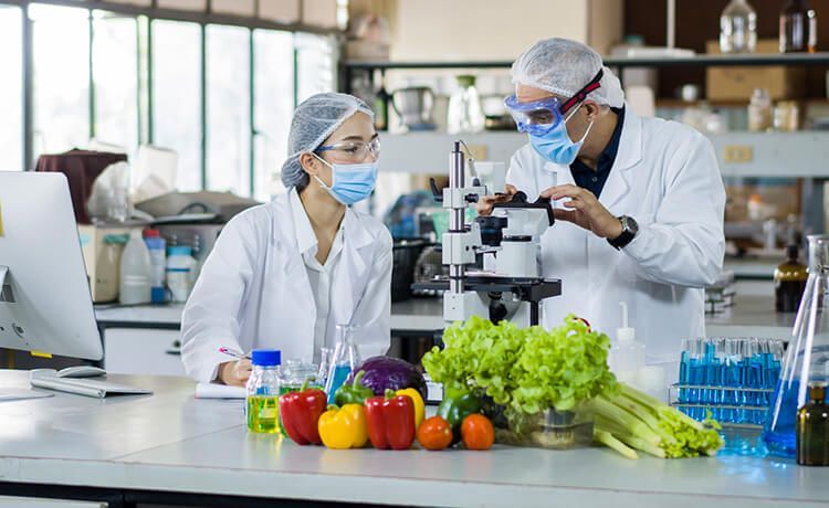 Ernährungsberaterin zeigt Patientin einen Diätplan.