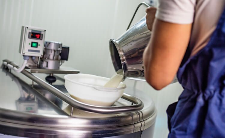 Milchtechnologe schüttet Milch in Schüssel.