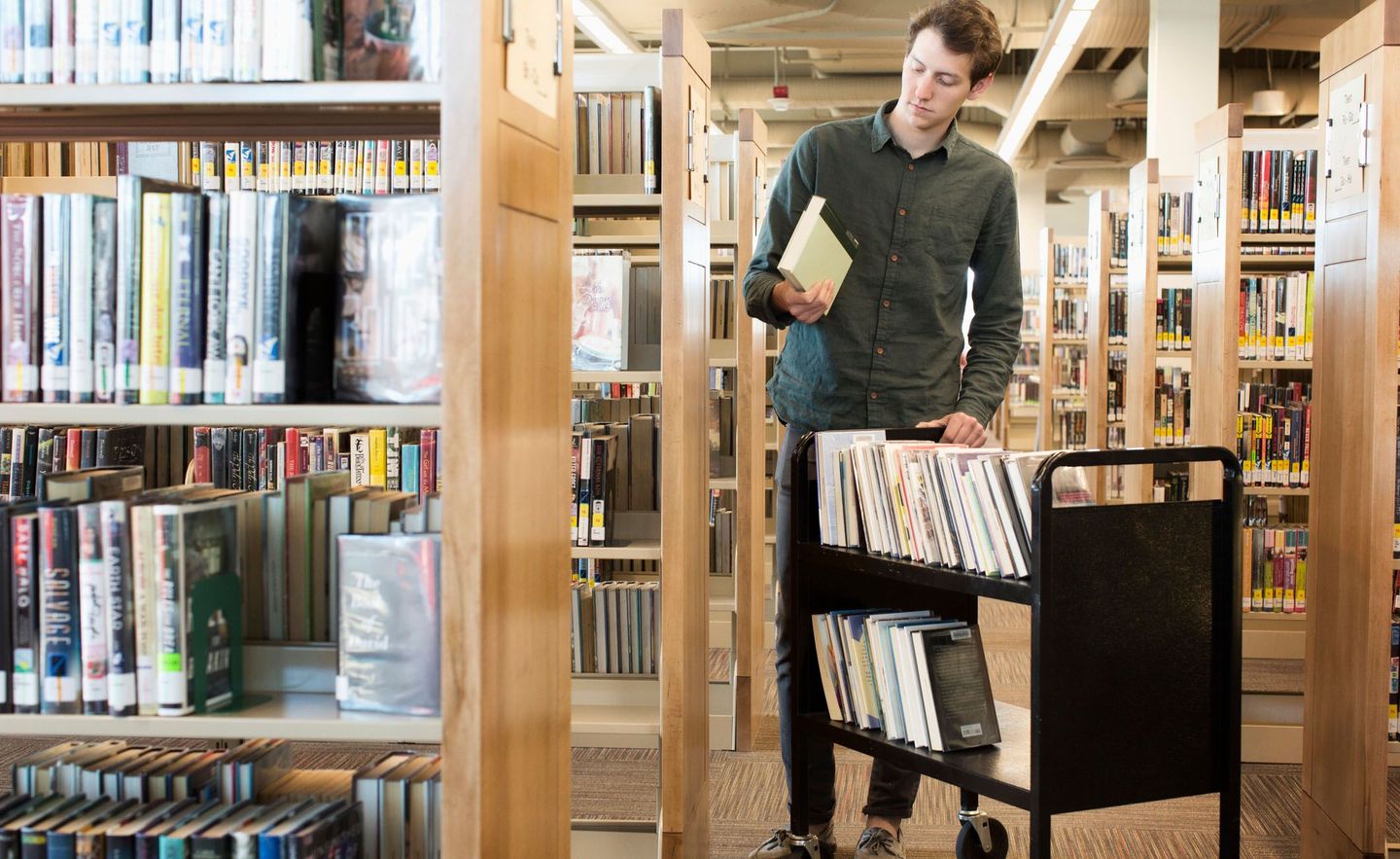 Bibliothekar sortiert Bücher ein.