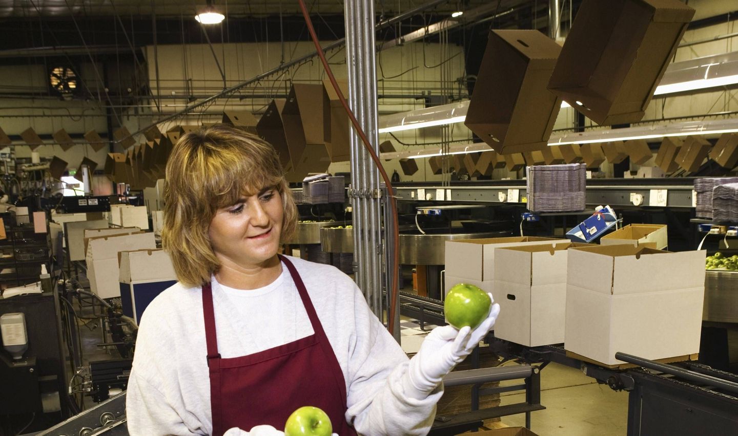 Bild aus dem Text zu Fachkraft für Fruchtsafttechnik