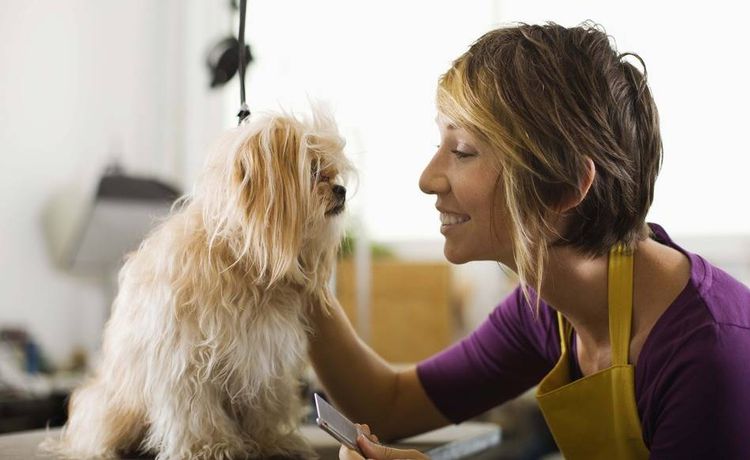 Wer darf als Tierheilpraktiker arbeiten?